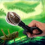 Portable Feeder/Food Cum Worm/Insect Feeding Tool for Reptile/Terrarium/Aquarium/Snake/Python/Lizard/Gecko/Iguana/Turtle/Scorpion/Frog/Fish (Mulitcolor)