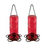 Urban Deco Large Capacity Hummingbird Feeders for Outdoors Hanging Wild Bird Feeders with 5 Nectar Bird Feeding Station 30 OZ Red Glass Bird Feeder - (Pack of 2)