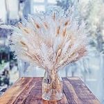 100 Pcs Natural Dried Fluffy Pampas Grass Bouquet - Pampas Grass Decor Artificial Pampas Grass Home Decor Dried Flowers and Swinging DIY Boho Plant for Floral Arrangements Decorations