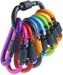 IEBUOBO 10 Pack Aluminum D Ring Key Rings Hiking Clips Locking Carabiner for Hiking Camping Fishing and Outdoor Use，Clips with Screw Gate Multicolored