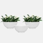 YUCCABE ITALIA SHERA Chick KTR 10 INCH Pack of 3 Pcs Plastic Flower Pot Unbreakable Round Shape Bowl Planter Suitable for Home Garden Seedling Indoor (White)