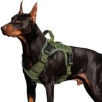 WINGOIN Green Harness with Handle T