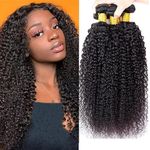 Kinky Curly Human Hair Bundles Curly Weave Human Hair 3 Bundles 9A Grade Unprocessed Brazilian Virgin Hair Extensions For Women Kinky Curly Human Hair Bundles 16 18 20 Inch