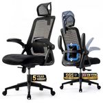 Realm of Thrones Mesh Ergonomic Office Chair for Back Support & Long Hours