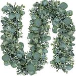 SOMYTING 2PCS Artificial Mixed Eucalyptus Leaves Garland 6FT Faux Silver Dollar Eucalyptus with White Seeds Greenery Vines for Wedding Arch Backdrop Table Mantel Christmas Indoor Outdoor Decor