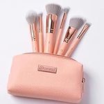 BH STUDIO PRO makeup brush set, Pet