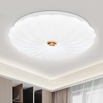 VIPMOON 42W LED Ceiling Light, Diameter 300mm Energy Efficient Ceiling Lamp, 6500K Flush Mount Ceiling Light, Bathroom Light for Sitting Room, Bedroom, Kitchen, Balcony, Porch, Passage