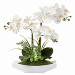 Orchids Artificial Flowers 15" Large Fake Orchid White Phalaenopsis Orchid Flower Arrangements with Ceramic Vase Faux Orchid for Home Bathroom Table Centerpiece Office Wedding Decor