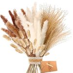 Dried Flowers - Natural Dried Pampas Grass Bouquet, Brown、White Pampas Grass Fluffy Fronds, Boho Home Decor Bouquet for Wedding Flower Arrangement Home Decor