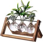 PACDONA Hydroponic Planter Terrarium Propagation Desktop Glass Planter Bulb Vase with Retro Wooden Stand for Indoor Home Garden Office Decoration Accessories, Clear Plant Holder Lover Gifts