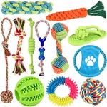 Jasonwell Dog Toys Durable Puppy Te