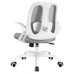 Razzor Office Chair, Ergonomic Computer Desk Chair with 2D Lumbar Support and Flip-up Arms, Swivel Breathable Mesh Task Chair with Adjustable Height for Home Office (2203, LightGray)