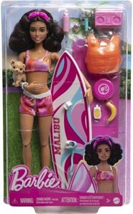 Barbie con Tabla de Surf Muñeca con Accesorios de Juguete, +3 años (Mattel HPL69)