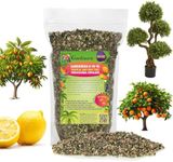 Premium 8-10-10 Fertilizer for Palm