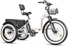 ADDMOTOR Grandtan II Electric Tricy