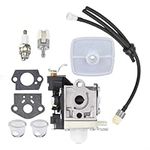 HpLive Brush Cutter Carburetor, Premium Carburetor Fuel Line Kit For E*c-ho PB250 PB250LN PB-250 E 50 Leaf Blower(1carburetor,2Gasket,2 Primer Bulb,1 Air Filter,1Fuel Pipe Assembly,1Fuel Filter,1Plug)