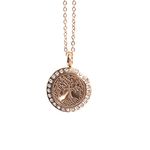 Tree of Life | Aromatherapy Oil Diffuser Rose Gold Necklace Locket with Pad