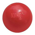 KONG - Ball with Hole - Durable Rub