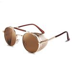 FEISEDY Men Women Sunglasses Side Shield Steampunk Vintage Round Glasses Shades B2518