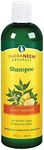 TheraNeem Scalp Therapy Shampoo | Protects, Nourishes and Calms Sensitive Scalp with Organic Neem, Lemon and Peppermint Oils | For Dry, Itchy Scalp, and Scalp Buildup | Vegan and Cruelty Free | 12oz