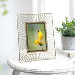 BEHOMA Metal Gold Sunbeam Photo Frame, Perfect for Home Decor, Table Decor, Gifting Purpose (4x6 Inches).
