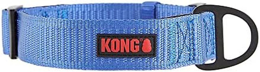 KONG Max H