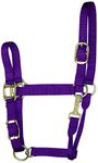 Hamilton 1-Inch Nylon Adjustable Quality Halter with Chin Snap for 1100 to 1600-Pound Horse, Large, Purple