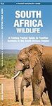 South Africa Wildlife: A Folding Pocket Guide to Familiar Animals (A Pocket Naturalist Guide)