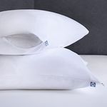 Sealy Pillows