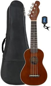 Fender Ven