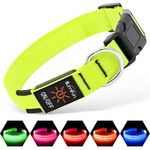 Illumifun Light Up Dog Collar, USB Rechargeable LED Dog Collar Glow in the Dark, Adjustable Pet Collar Safety Dog Lights for Night Walking (Green, Medium)