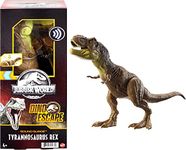 Mattel Jurassic World Toys 12-In Dinosaur Figure, Strike & Chomp Action, Sounds, Movable Joints, Great Gift For Ages 4 Years Old & Up,Multicolor,Hbk21