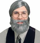 Rubies Costume Character Beard, Conservative Straight Gray Beard