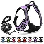 Reflective Dog Harness with Leash S