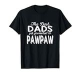 Papa Pops Parent Hero The best Dads