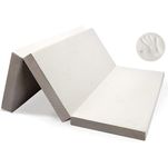 Milliard 6-Inch Memory Foam - Full