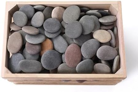 ROCART 100