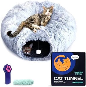 Cat Tunnel Bed – Cat Donut Tunnel Combining Cat Bed, Peekaboo Cat Cave, & Cat Tube – Cat Cave Bed with Cat Toys for Indoor Cats Included – Cat Tunnels for Indoor Cats Large, 1 Lazer Paw, 1 Ball