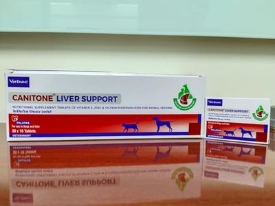 Canitone L