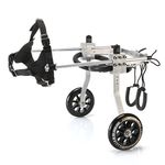 Wheels For Disabled Dogs