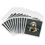 3dRose Weimaraner Puppy - Greeting Cards, 6 x 6 inches, set of 12 (gc_1094_2)