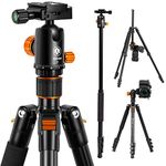 TARION Q550 Camera Tripod 61” with Ball Head 360° Rotation Aluminum Tripod Monopod for DSLR SLR Mirrorless Cameras Support Macro Shots Lightweight 16.9” Foldable Size 13lb Load