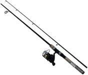 Daiwa DSK20-B/F602ML D-Shock Reel &