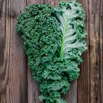 PREMIER SEEDS DIRECT - KALE - BORECOLE -VATES BLUE CURLED - 4.5 GRAMS