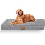 Indestructible Dog Beds