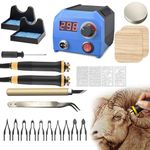 FIRElood LH55-1 Wood Burning Kit,Pyrography Wood Burning Tool Set with Pyrography Machine, 10 Professional Wire Nibs, Detachable Wood Burning Pen, Adjustable Temperature 250-700℃(UK Plug)