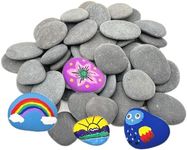 Lifetop 100 PCS Rocks Bulk for Pain