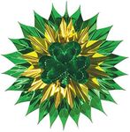 Beistle Party Decoration Shamrock Fan-Burst 15"- Pack of 12