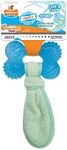 Nylabone Puppy Chew Freezer Bone To