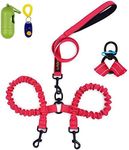 U-picks Dual Dog Leash Double Dog Leash360° Swivel No Tangle Double Dog Walking & Training Leash Comfortable Shock Absorbing Reflective Bungee for Two Dogs with waste bag dispenser and dog training clicker